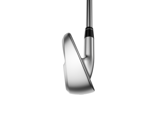 Callaway Apex Ai300 Irons